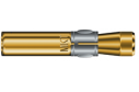 Wedge Anchor B-IG (Zinc Plated)