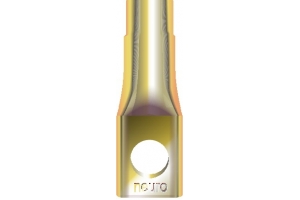 NEURO FIXING DOWEL