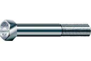 Stainless Steel Hexagon Head Bolt (Partial threaded)